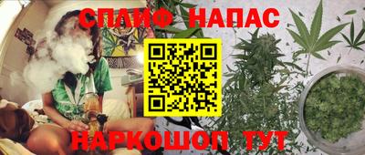 mdpv Заводоуковск