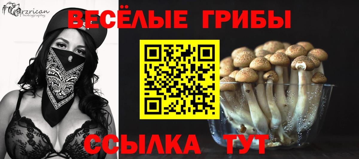 Галлюциногенные грибы мухоморы  Вход с VPN  наркошоп  Медногорск 